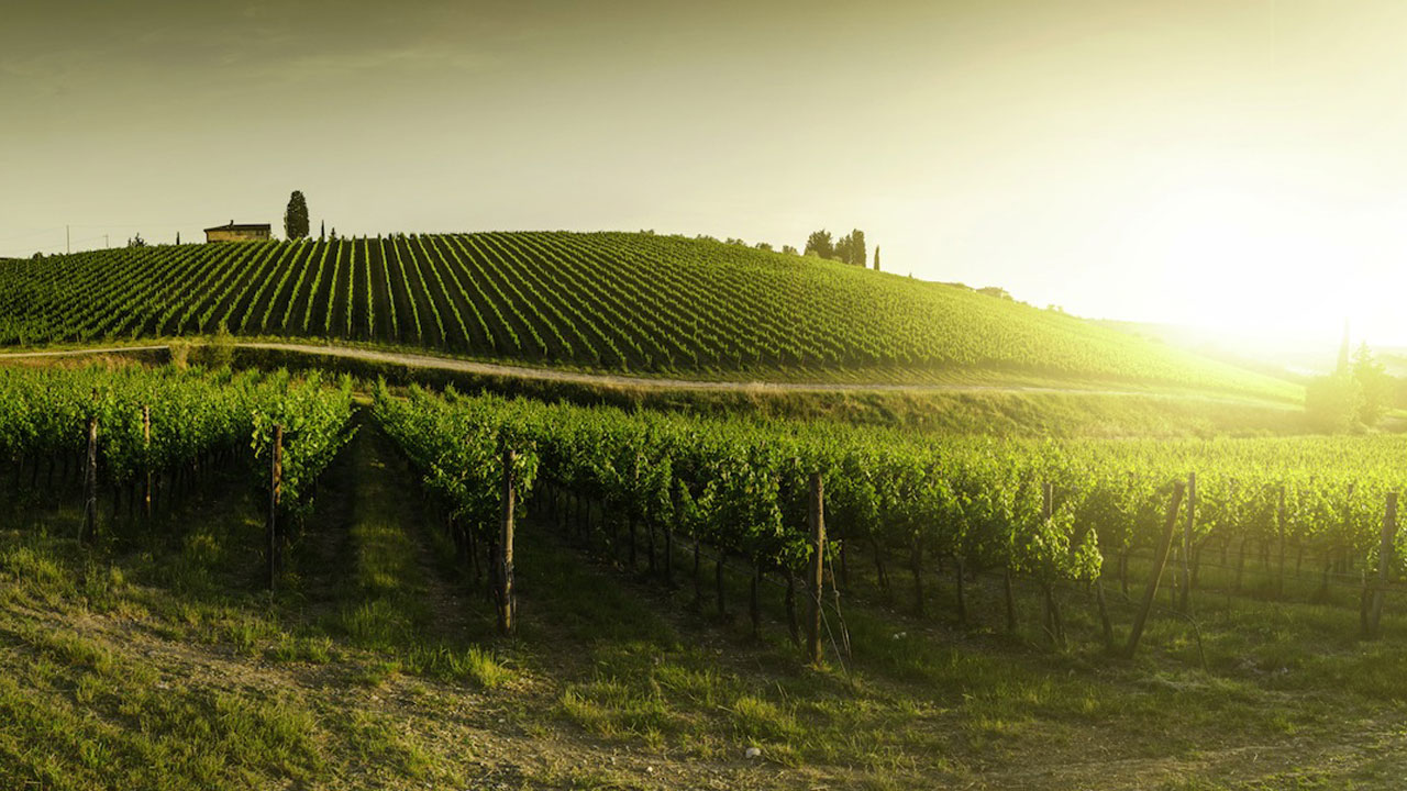 chianti classico gaiole in chianti, siena