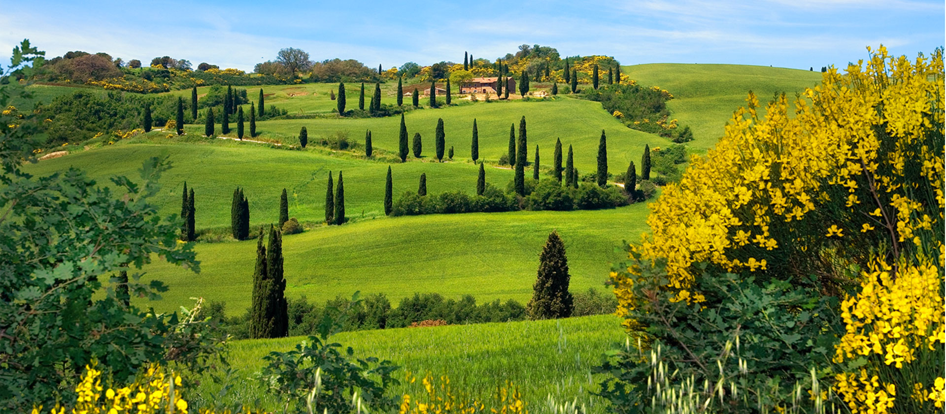 tuscany-tours1920x840